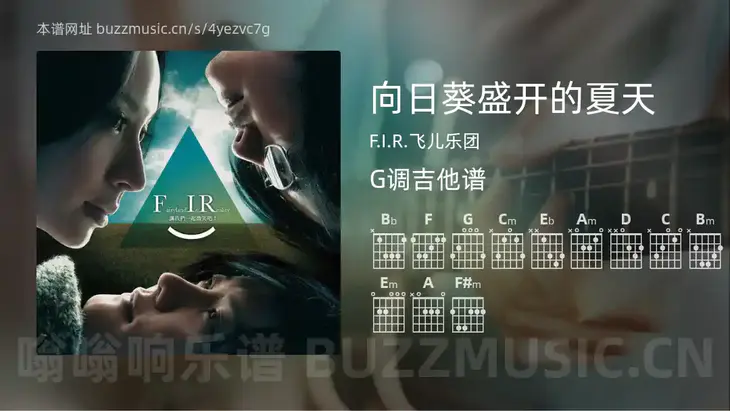 向日葵盛开的夏天 F.I.R.飞儿乐团 吉他谱G调简单版
