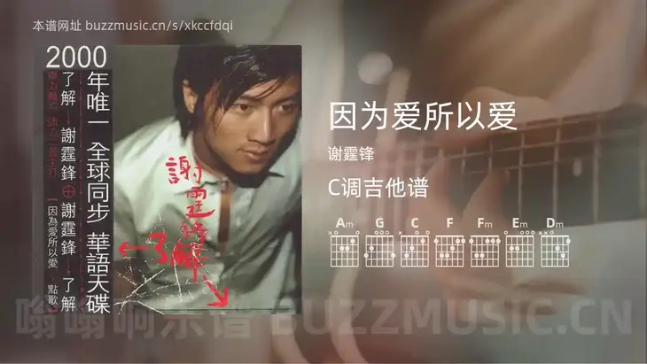 因为爱所以爱吉他谱C调 谢霆锋 简单版