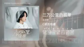 三万公里的孤单 王小帅 吉他谱C调简单版