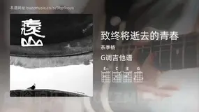 致终将逝去的青春 茶季杨 吉他谱G调简单版