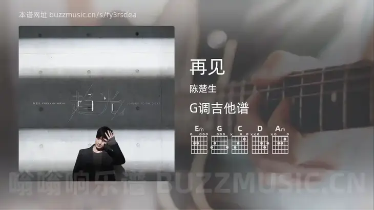 再见 陈楚生 吉他谱G调简单版