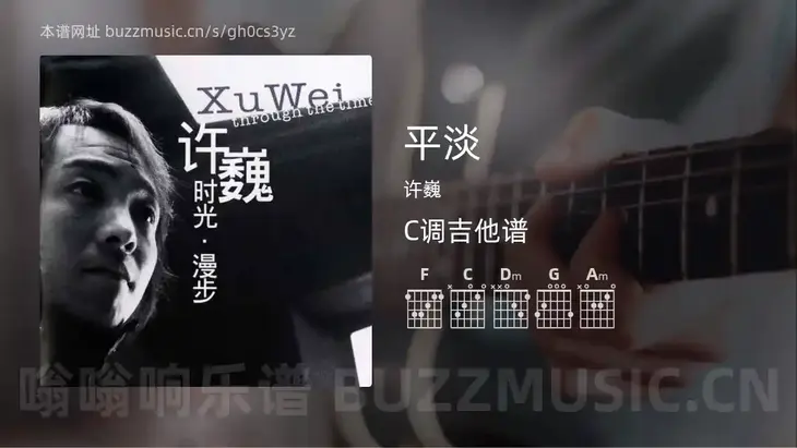 平淡 许巍 吉他谱C调简单版