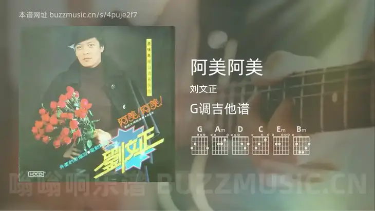 阿美阿美 刘文正 吉他谱G调简单版