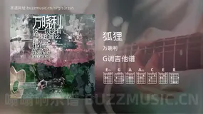 狐狸 万晓利 吉他谱G调简单版