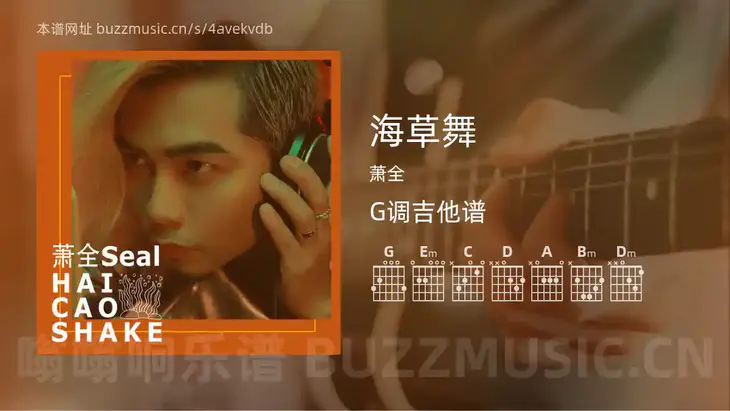 海草舞 萧全 吉他谱G调简单版