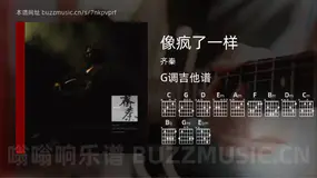 像疯了一样吉他谱G调 齐秦 简单版