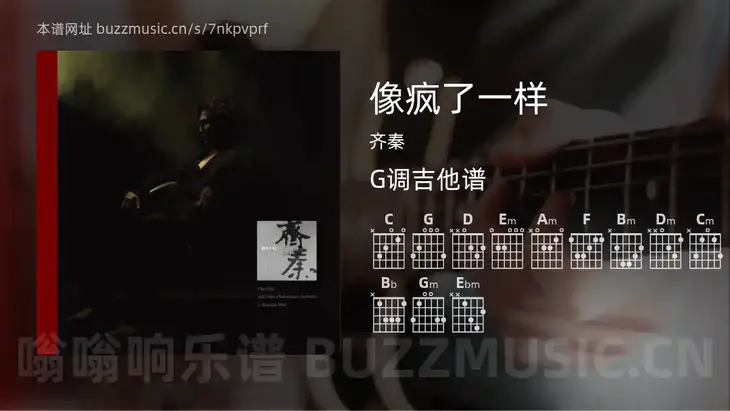 像疯了一样吉他谱G调 齐秦 简单版