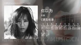 你以为 左颜 吉他谱C调简单版