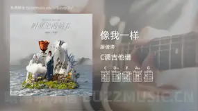 像我一样吉他谱C调 廖俊涛 简单版