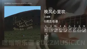 晚风心里吹 王赫野 吉他谱G调简单版