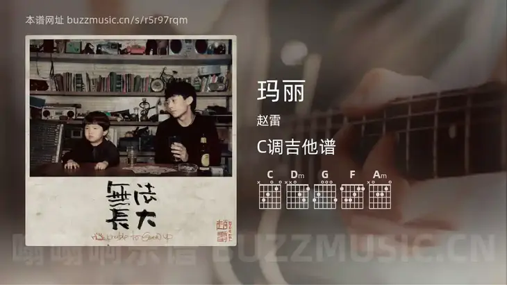 玛丽吉他谱C调 赵雷 简单版