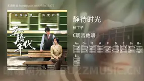 静待时光 杨丁子 吉他谱C调简单版