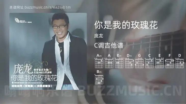 你是我的玫瑰花 庞龙 吉他谱C调简单版