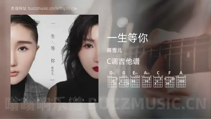 一生等你吉他谱C调 蒋雪儿 简单版