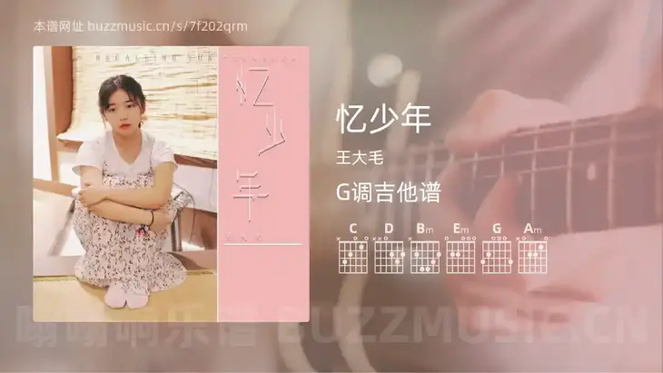 忆少年吉他谱G调 王大毛 简单版