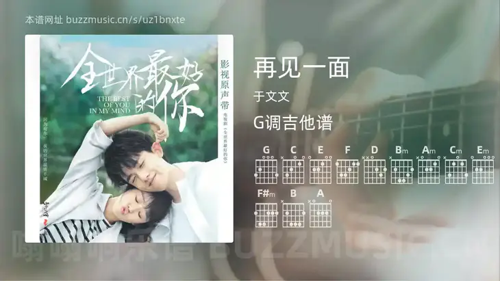 再见一面 于文文 吉他谱G调简单版