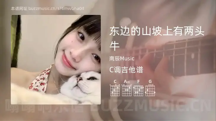 东边的山坡上有两头牛 南辰Music 吉他谱C调简单版