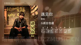 遇见你 靳松 吉他谱G调简单版