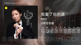 我着了你的道 魏佳艺 吉他谱G调简单版