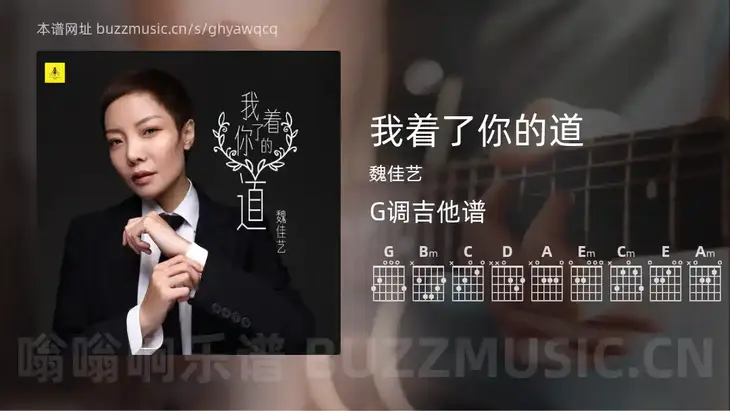 我着了你的道 魏佳艺 吉他谱G调简单版