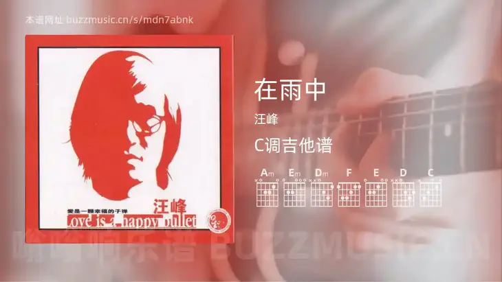 在雨中 汪峰 吉他谱C调简单版