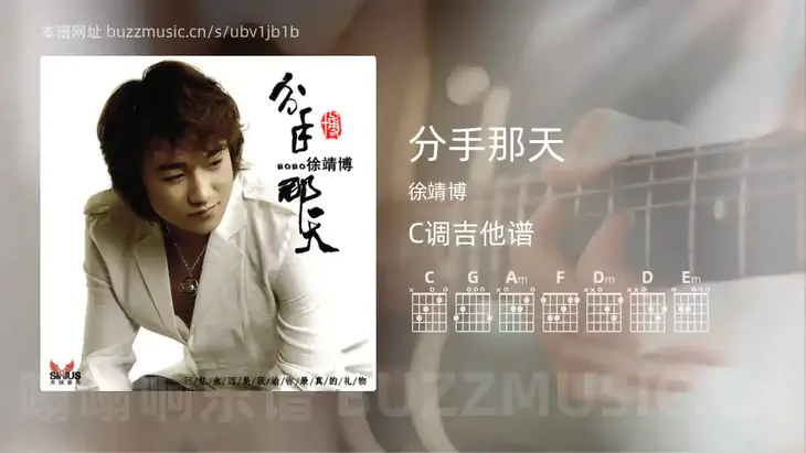 分手那天 徐靖博 吉他谱C调简单版