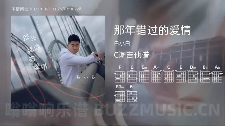 那年错过的爱情 白小白 吉他谱C调简单版