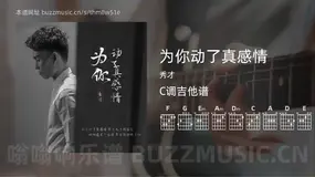 为你动了真感情 秀才 吉他谱C调简单版