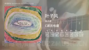 叶子风吉他谱C调 末小皮 简单版