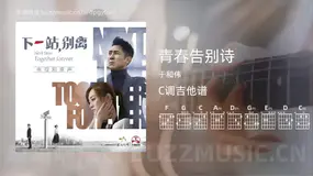 青春告别诗 于和伟 吉他谱C调简单版