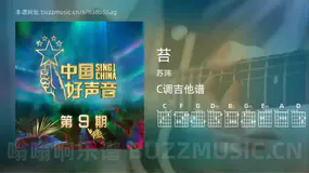 苔 苏玮 吉他谱C调简单版