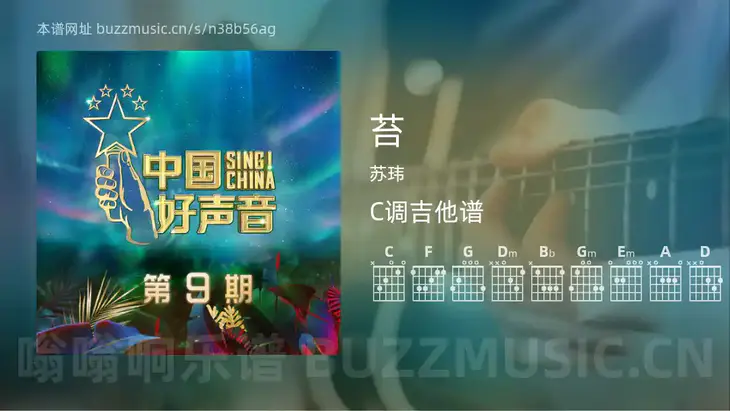 苔 苏玮 吉他谱C调简单版