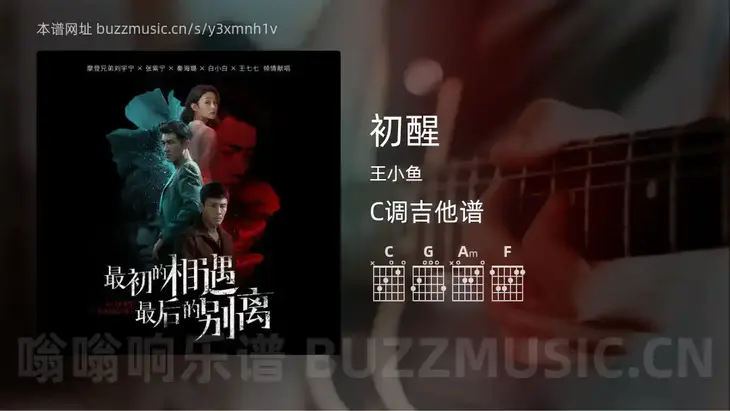 初醒 王小鱼 吉他谱C调简单版
