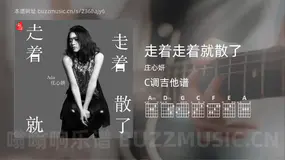 走着走着就散了 庄心妍 吉他谱C调简单版