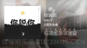 你说你 邻间少年 吉他谱G调简单版
