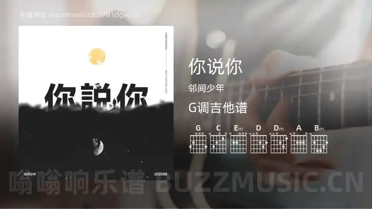你说你 邻间少年 吉他谱G调简单版