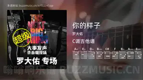 你的样子 罗大佑 吉他谱C调简单版