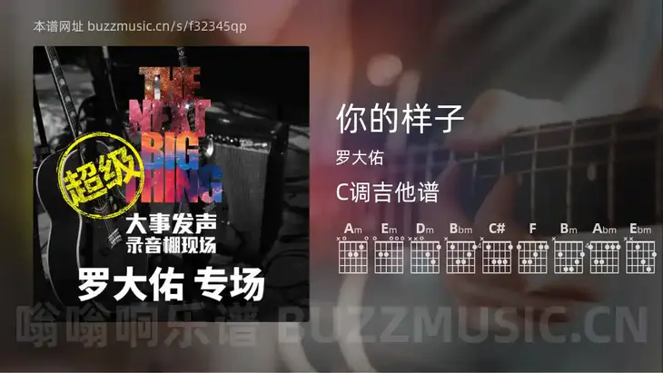 你的样子 罗大佑 吉他谱C调简单版