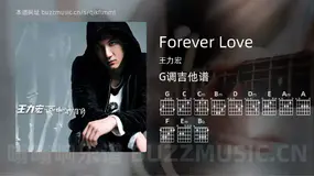 Forever Love吉他谱G调 王力宏 简单版