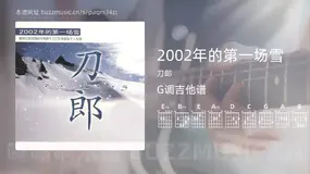 2002年的第一场雪 刀郎 吉他谱G调简单版