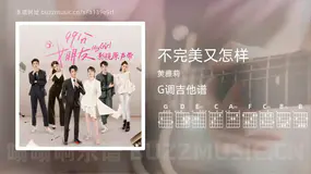 不完美又怎样 黄雅莉 吉他谱G调简单版