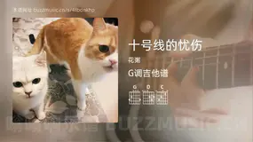 十号线的忧伤 花粥 吉他谱G调简单版