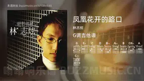 凤凰花开的路口 林志炫 吉他谱G调简单版