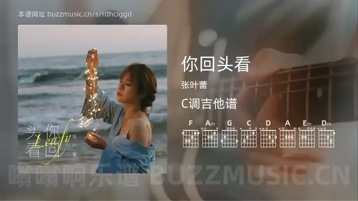 你回头看 张叶蕾 吉他谱C调简单版