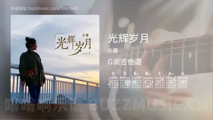 光辉岁月吉他谱G调 孙露 简单版