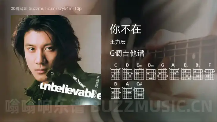 你不在 王力宏 吉他谱G调简单版