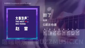 醉了 赵雷 吉他谱G调简单版