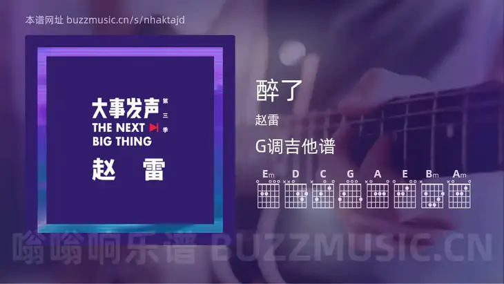 醉了 赵雷 吉他谱G调简单版