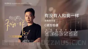 有没有人和我一样 吉他的天空 吉他谱C调简单版
