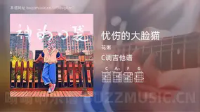忧伤的大脸猫 花粥 吉他谱C调简单版